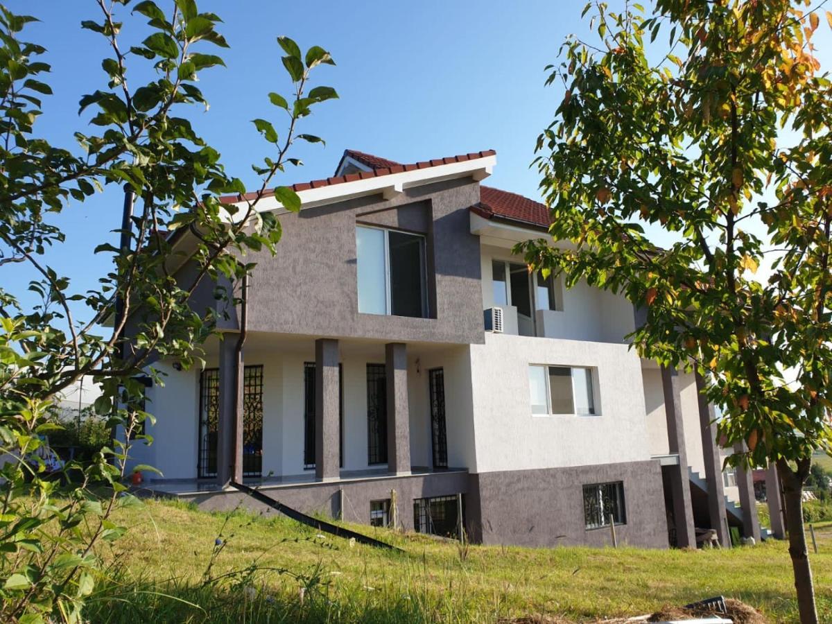 Lidia House Lägenhet Alba Iulia Exteriör bild