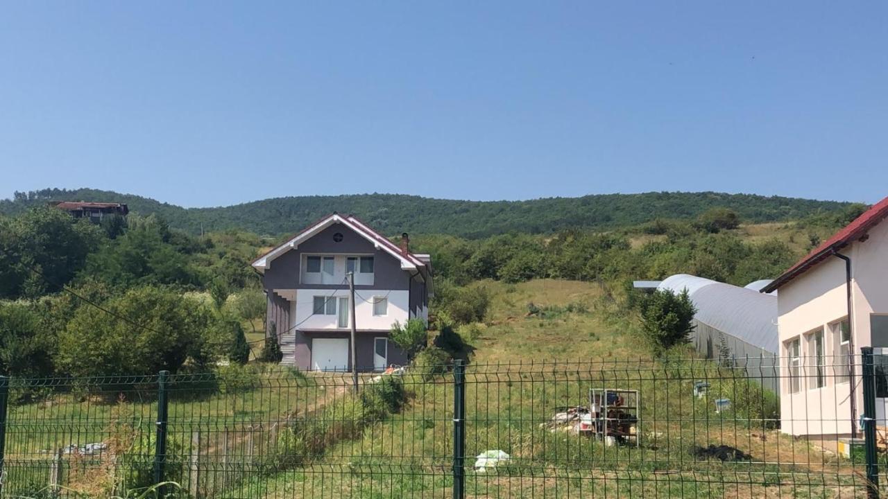 Lidia House Lägenhet Alba Iulia Exteriör bild